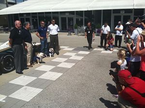 Ed Carpenter