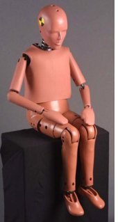 Photo of 10-year-old crash test dummy