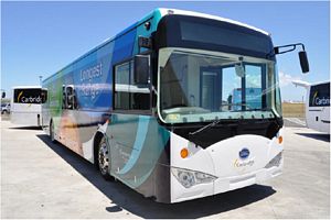BYD Electric Bus