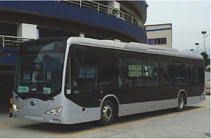 BYD Electric Vehicles