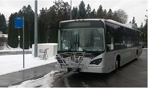 BYD Electric Vehicles