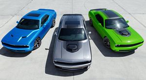 2015 Dodge Challenger Trimlines