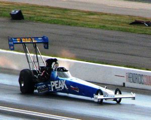 TJ Zizzo