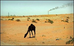 Middle East
