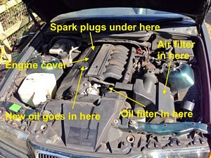 BMW 323i Oil Change