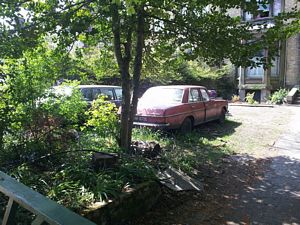 Abandoned cars