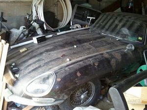 Abandoned cars
