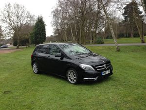 Speedmonkey Review Gallery