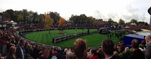 The winners enclosure.  This is outside the track