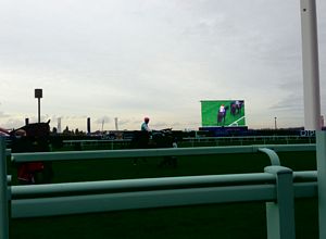 Frankel walking to the start line