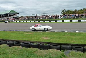Goodwood Revival cars