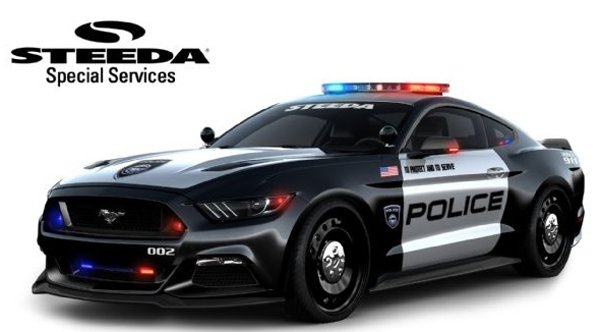 Ford police package shocks #4