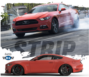 AmericanMuscle Mustang Contest