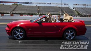 2018 AmericanMuscle Car Show