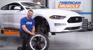2019 Mustang GT Build