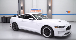 2019 Mustang GT Build