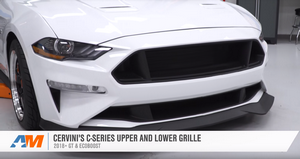 2019 Mustang GT Build