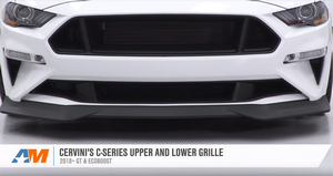2019 Mustang GT Build