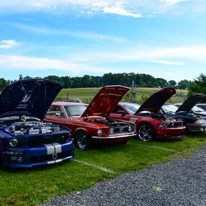AmericanMuscle.com Car Show Ford Mustangs