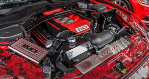 2015 Mustang GT S550 Custom Build