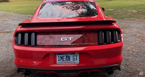 2015 Mustang GT S550 Custom Build