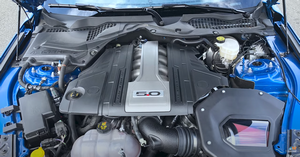 2019 Ford Mustang GT Build
