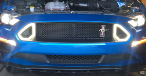 2019 Ford Mustang GT Build