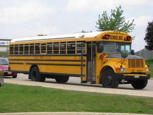 Blue Bird Bus