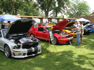 Ford Mustangs