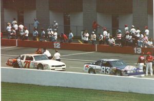 1987 Champion Spark Plug 400