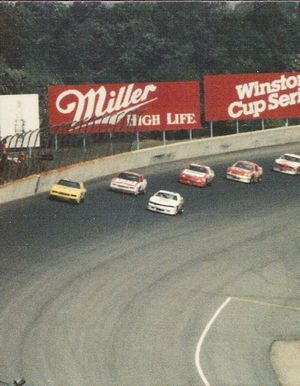 1987 Champion Spark Plug 400