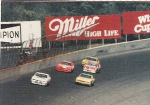 1987 Champion Spark Plug 400