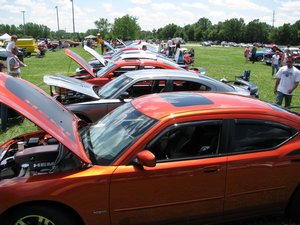 Dodge Chargers