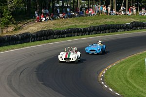 1965 AC Cobra 427