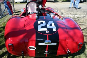 Shelby Cobra 289 F.I.A.