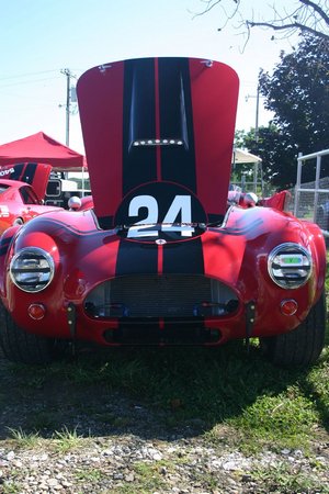 Shelby Cobra 289 F.I.A.