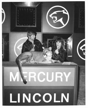 1979 Mercury Cougar - Christopher the Cougar