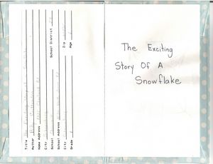 The Exciting Story of a Snowflake by Billy Crittenden