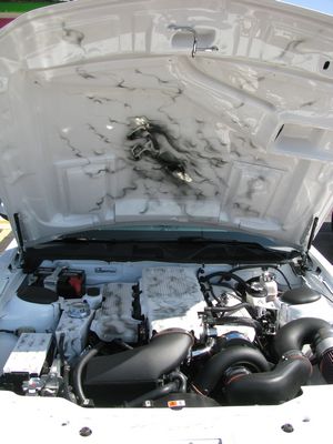 Modified 2010 Ford Mustang GT