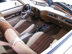 1977 Oldsmobile Cutlass Salon