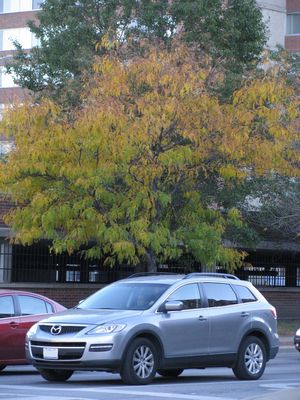 Mazda CX-9