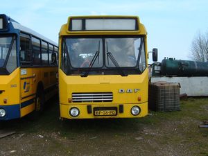 DAF