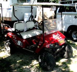 Dale Earnhardt Jr. Golf Cart