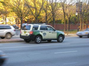 Checker Taxi Ford Escape