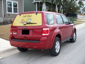 Ford Escape Rear Window Decal by Signazon