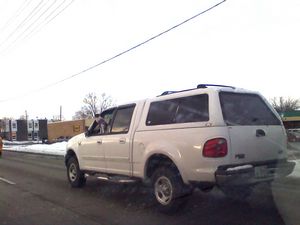 Ford F-150 with Dog