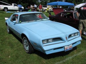 1978 Pontiac Firebird Sky Bird