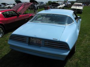 1978 Pontiac Firebird Sky Bird