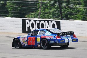 Steve Fox ARCA 2010 Messina Wildlife Animal Stopper 200