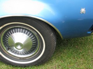 AMC Gremlin